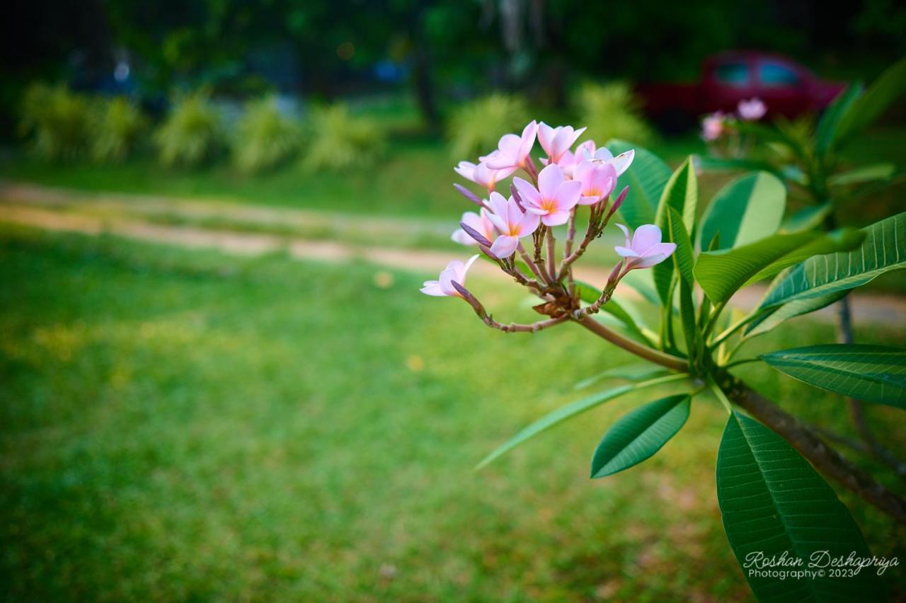 Kakulanda Resort Kurunegala Exterior photo